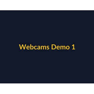 Webcams Demo 110